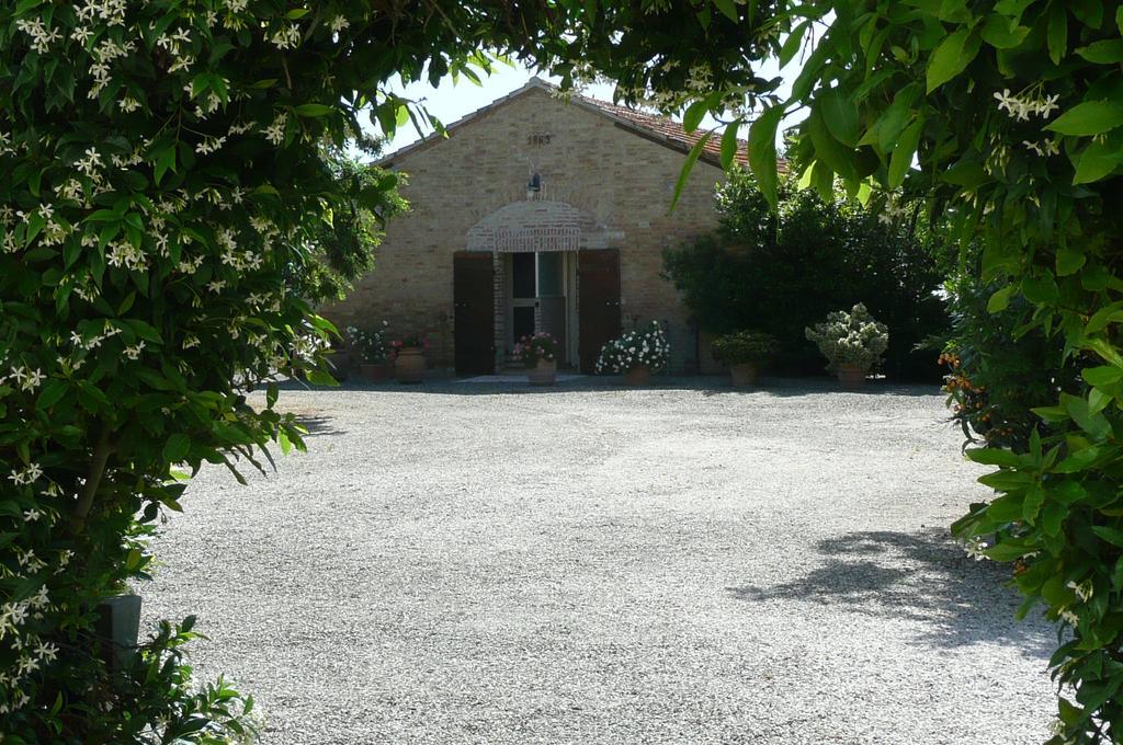 Fattoria San Vincenzo * Marina di Grosseto