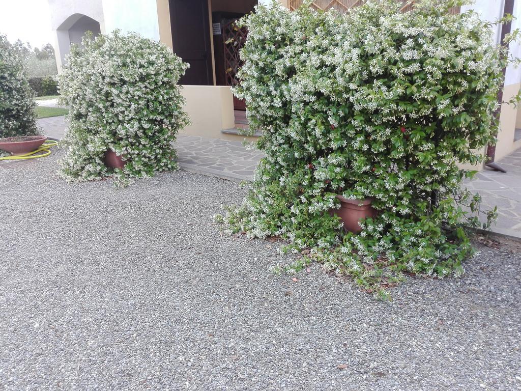 Fattoria San Vincenzo * Marina di Grosseto