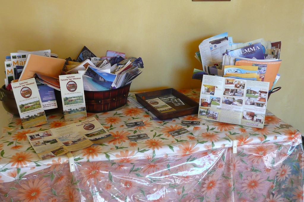 Fattoria San Vincenzo Farm stay *