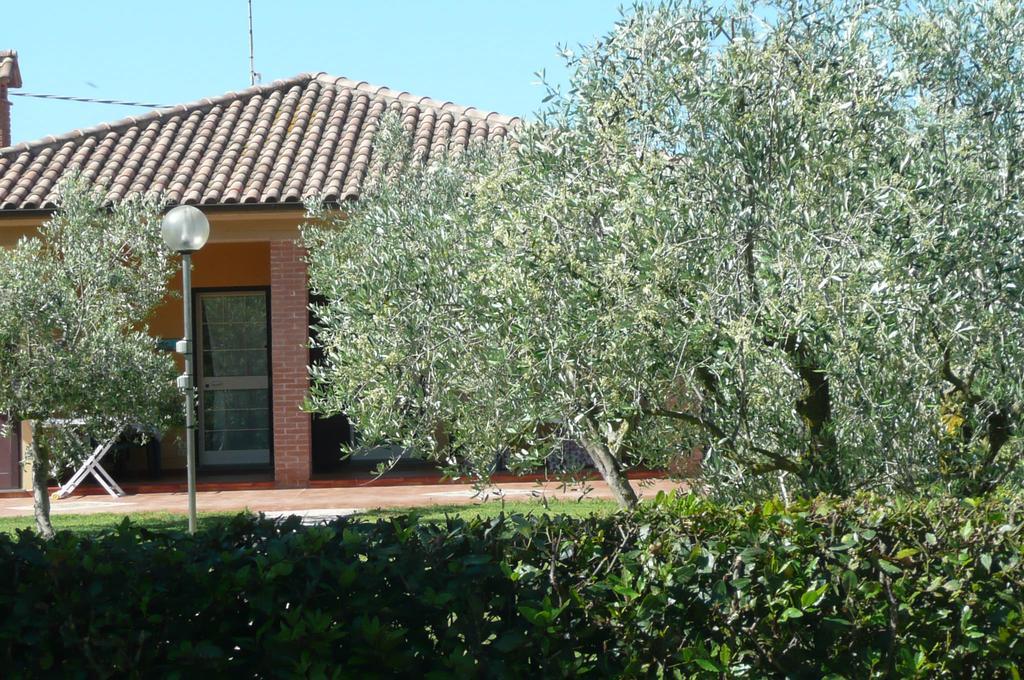 Fattoria San Vincenzo Marina di Grosseto