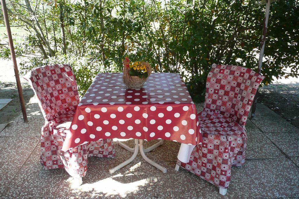 Farm stay Fattoria San Vincenzo Marina di Grosseto