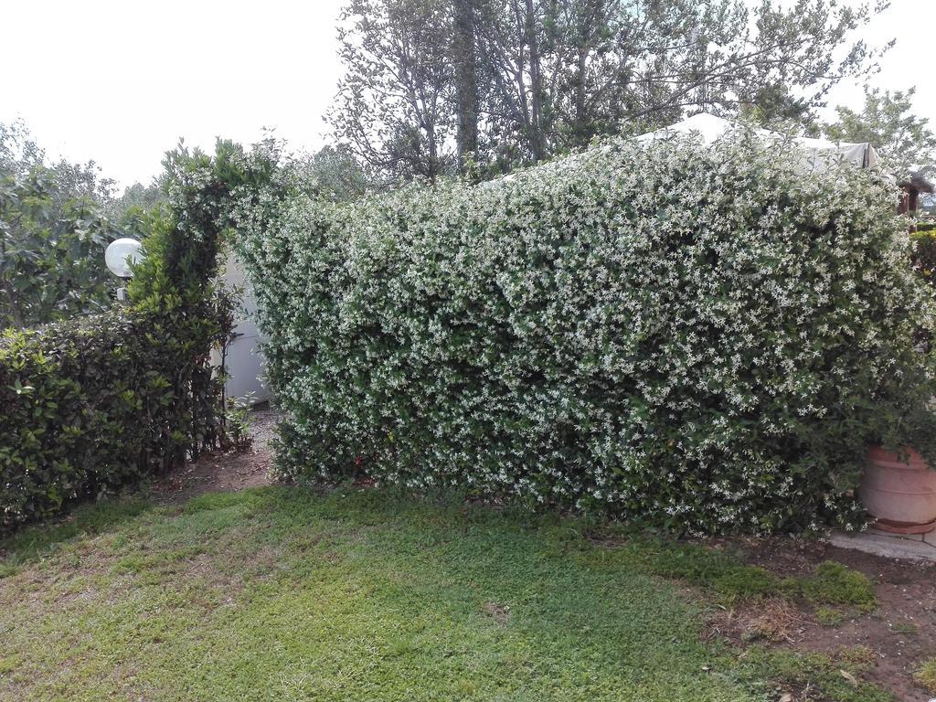 Fattoria San Vincenzo Farm stay *