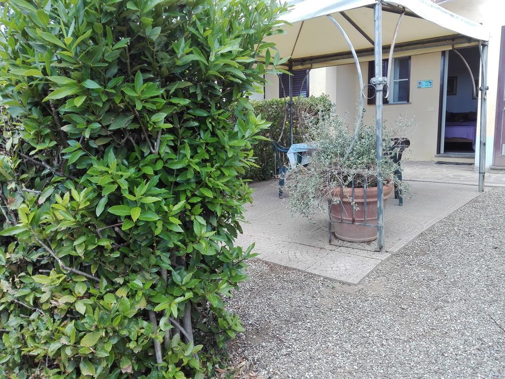 Fattoria San Vincenzo Farm stay