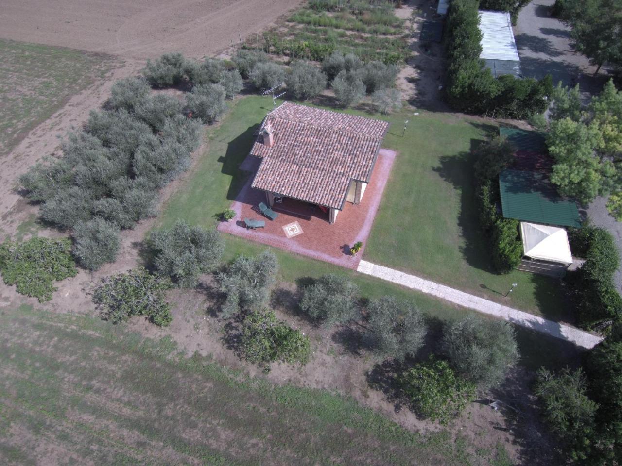 Fattoria San Vincenzo Bauernhof *