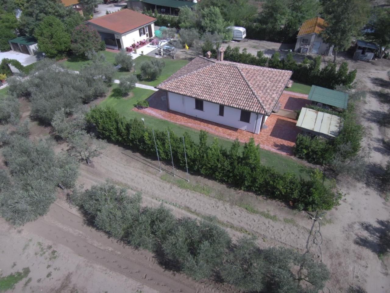 Fattoria San Vincenzo *