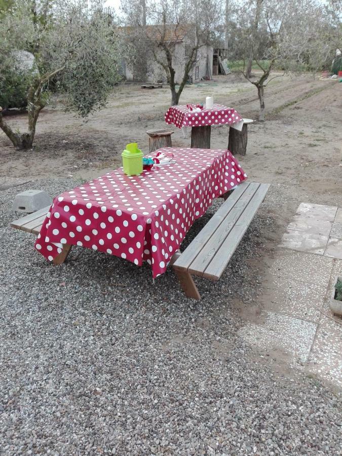 Fattoria San Vincenzo * Marina di Grosseto
