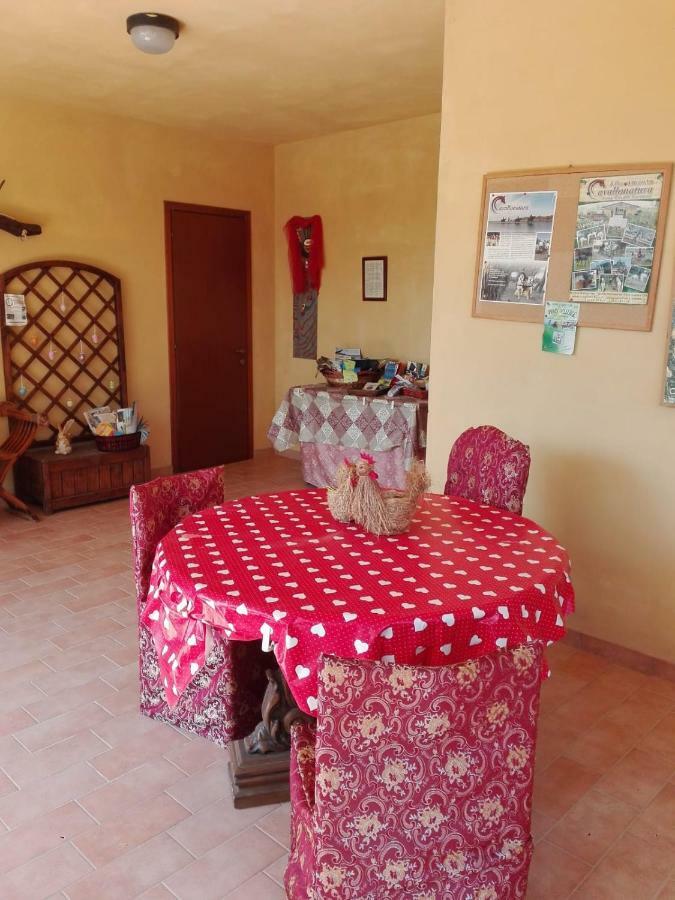 Fattoria San Vincenzo Bauernhof *