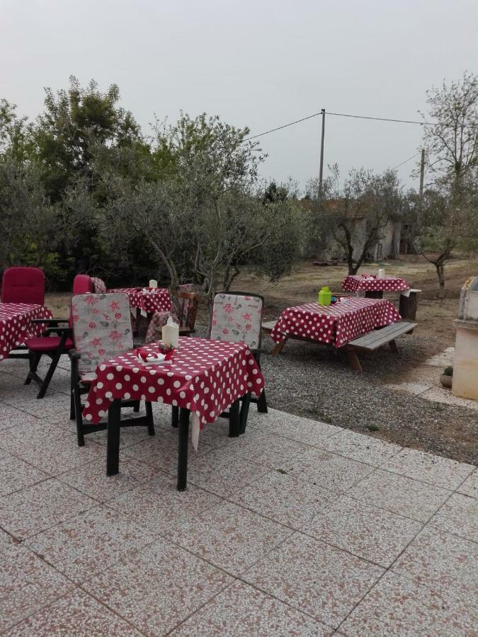 Fattoria San Vincenzo